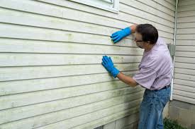 Best Siding Removal and Disposal  in Parkville, MO